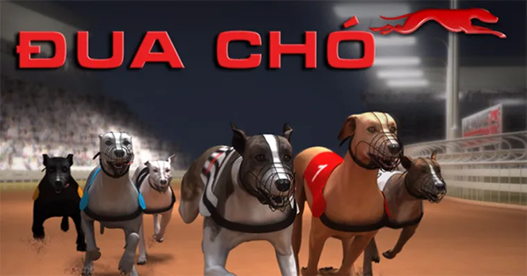 Hướng Dẫn Cách Chơi Game Nhanh Đua Chó Tại 99OK Từ A Đến Z 2 Hướng Dẫn Cách Chơi Game Nhanh Đua Chó Tại 99OK Từ A Đến Z